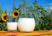 Czy mleko wychładza organizm?