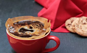 Jak wyczyścić filtr w akwarium?