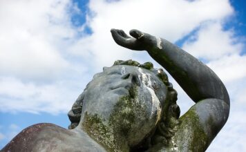 Co zjada odchody w akwarium?